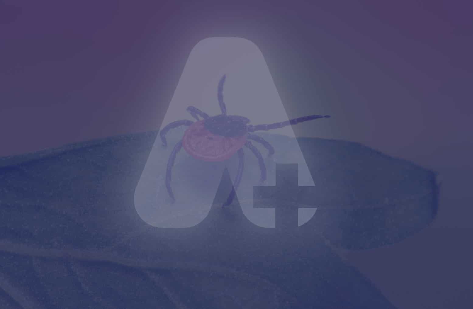 Rapid Test for Lyme Disease Atracare Premiere, Modern Healthcare