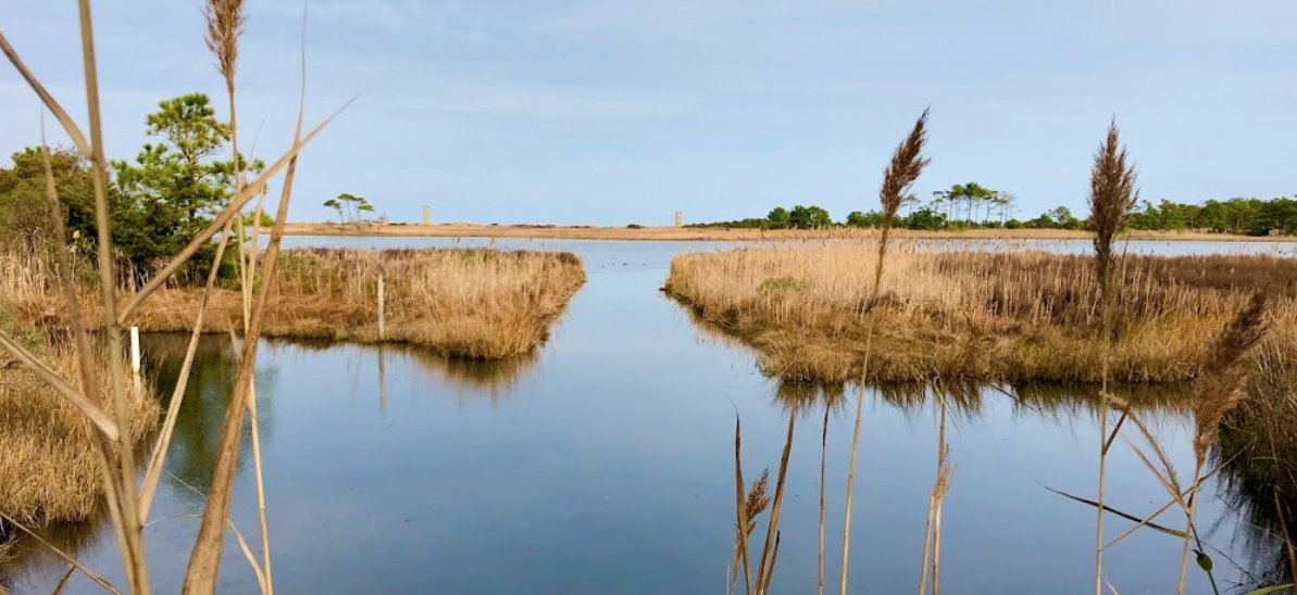 Biking at Gordons Pond Trail in Cape Henlopen State Park - Atracare ...